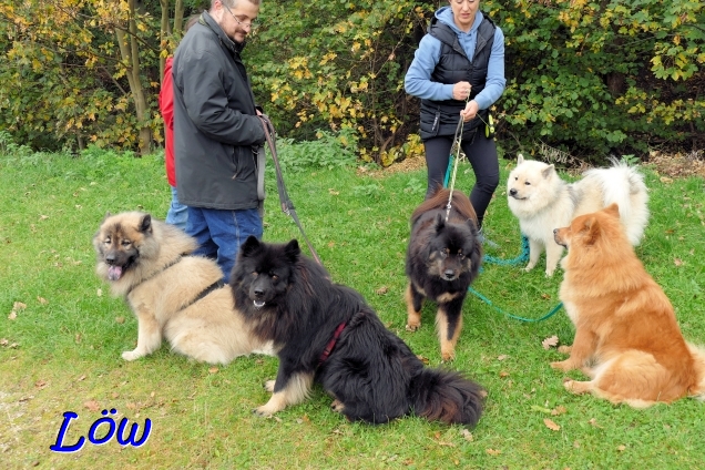 13.10.2024 - Treffen mit  der Tamalina-Familie